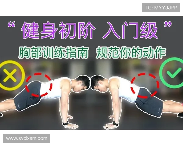 打造全能体魄:从力量训练到营养补给的健身全攻略 打造全能体魄:从力量训练到营养补给的健身全攻略