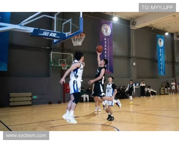 篮球精神激发青春力量共筑团队梦想展现拼搏与荣耀魅力 篮球精神激发青春力量共筑团队梦想展现拼搏与荣耀魅力