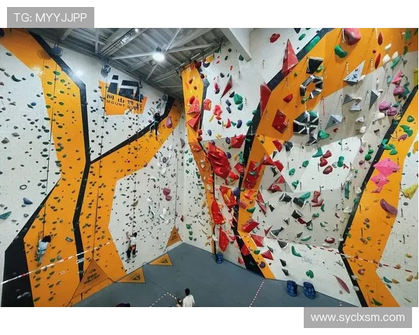 上海攀岩队实力分析与发展潜力探讨攀岩运动的未来前景