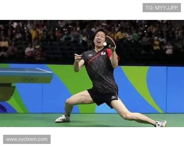 深圳乒乓球队灵活性深度剖析及其对比研究