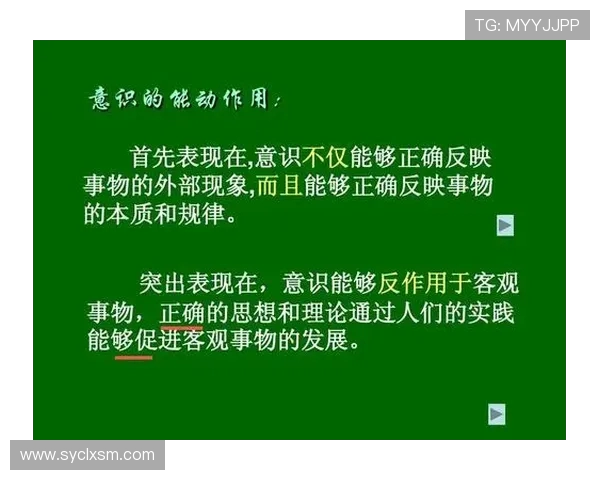 深圳篮球队意识提升研究与发展策略分析