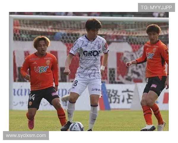 冈山对阵金泽比赛结果分析及精彩瞬间回顾